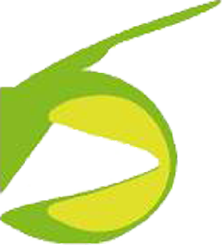 logo Isd Mali